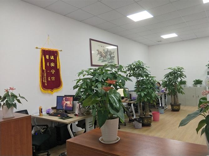 报关代理;企业物流方案设计,许可经营项目是:普通货运;仓